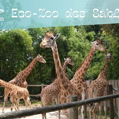 Splendid Oasis - 3 Bedrooms - Private Pool